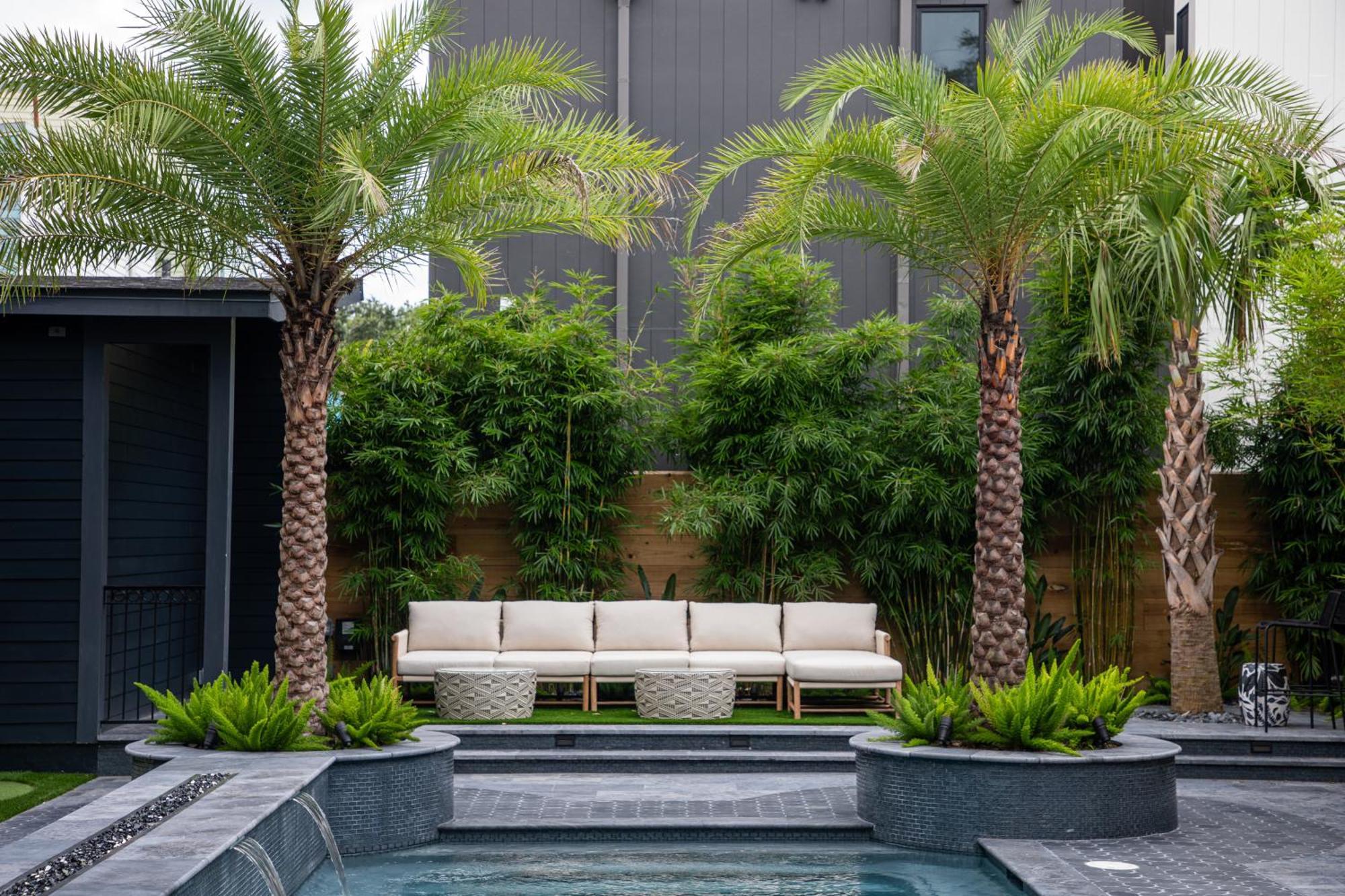 ניו אורלינס Blackbird Hotel מראה חיצוני תמונה